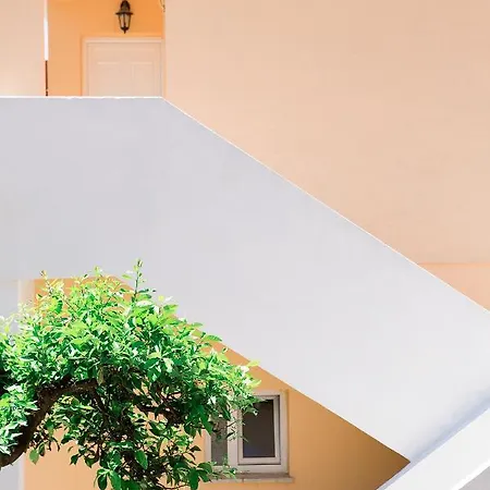 Theodora Corfu * Ипсос